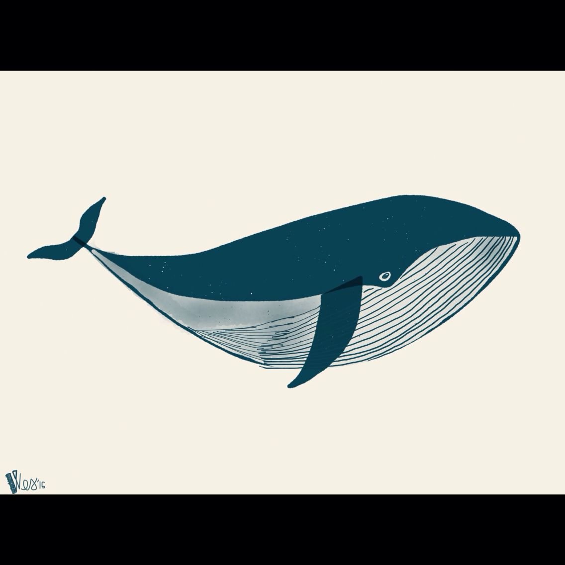 Синий кит рисунок