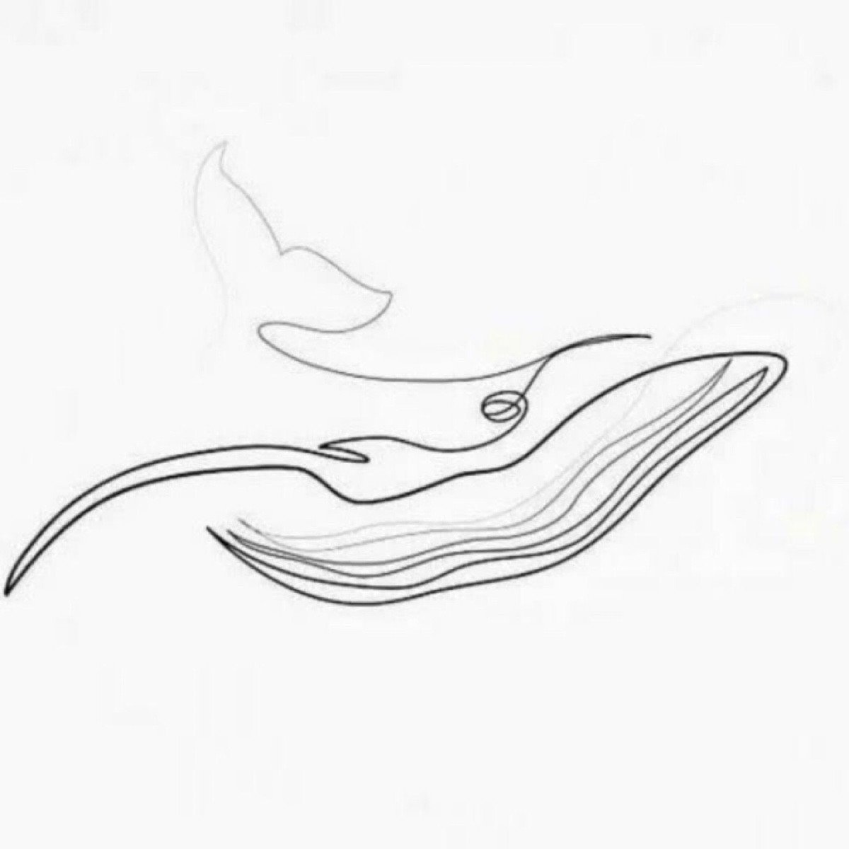 Эскиз одной линией