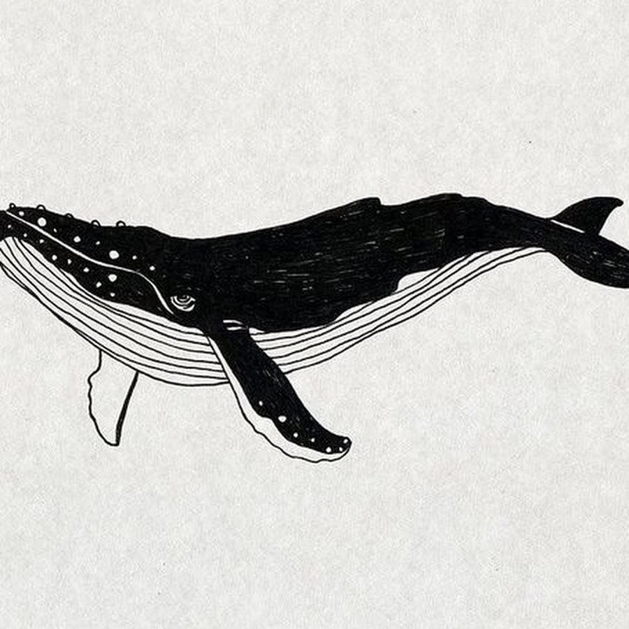 Горбатый кит силуэт