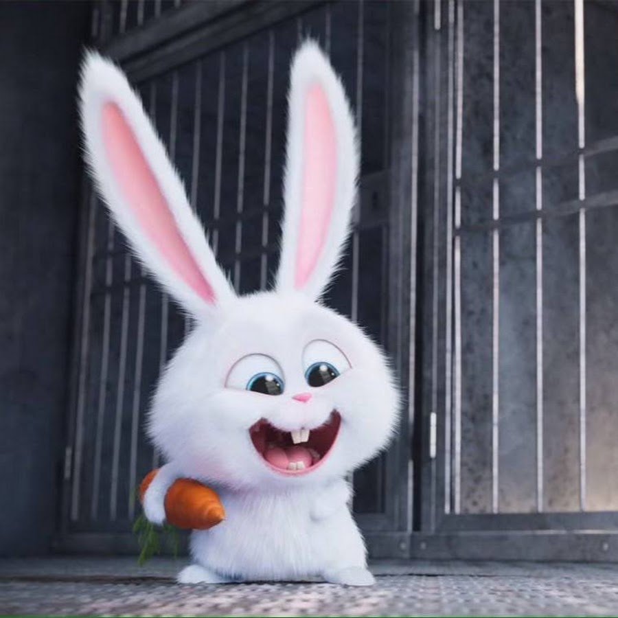 Злобный кролик картинки