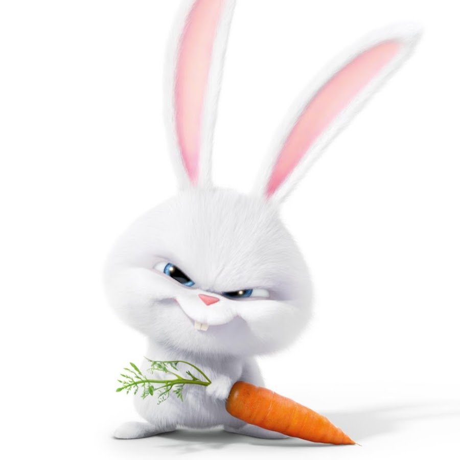 Мультяшные смешные зайцы