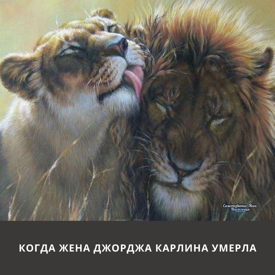 Агнец Лев Бог