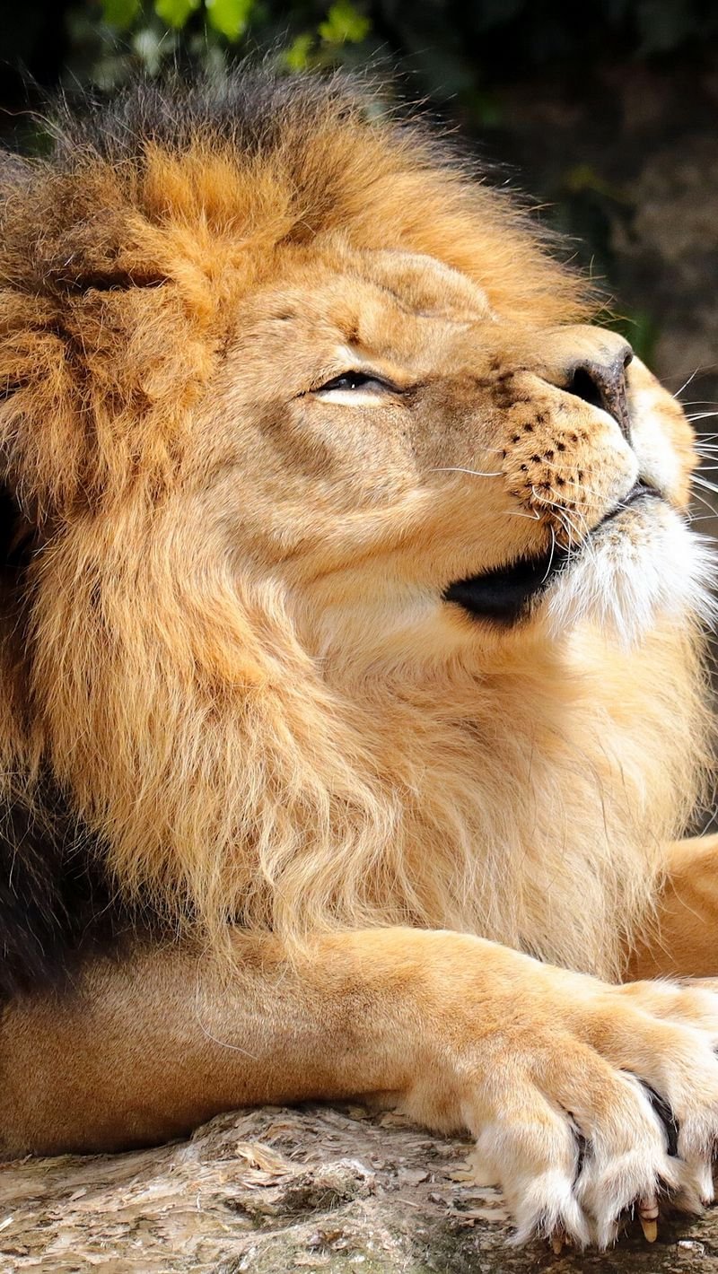 Красивые добрые высказывания