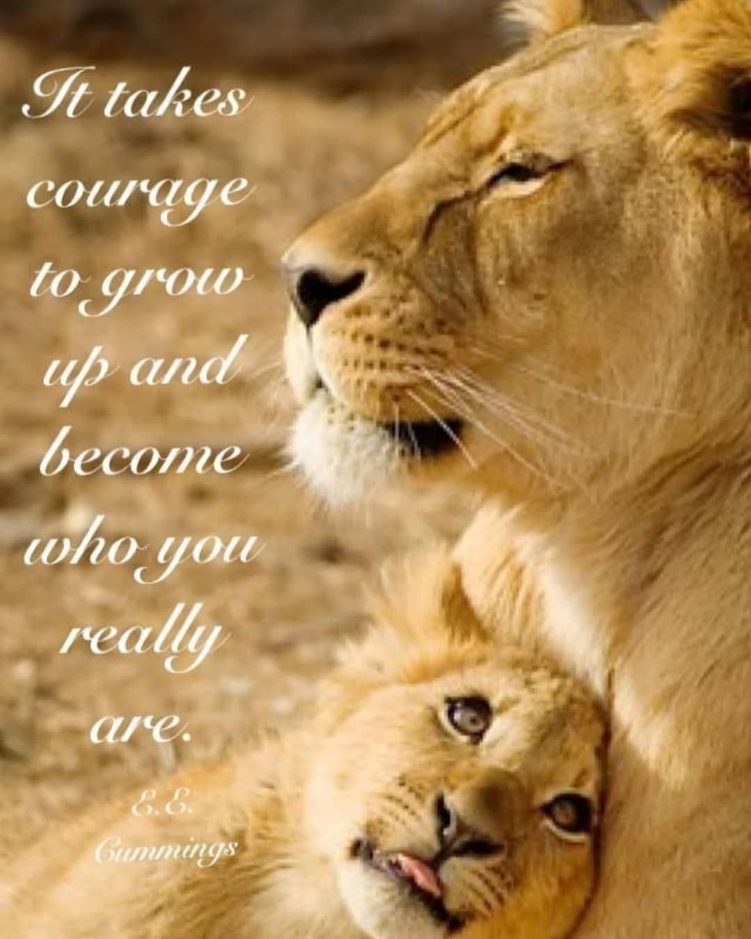 Гордые львы