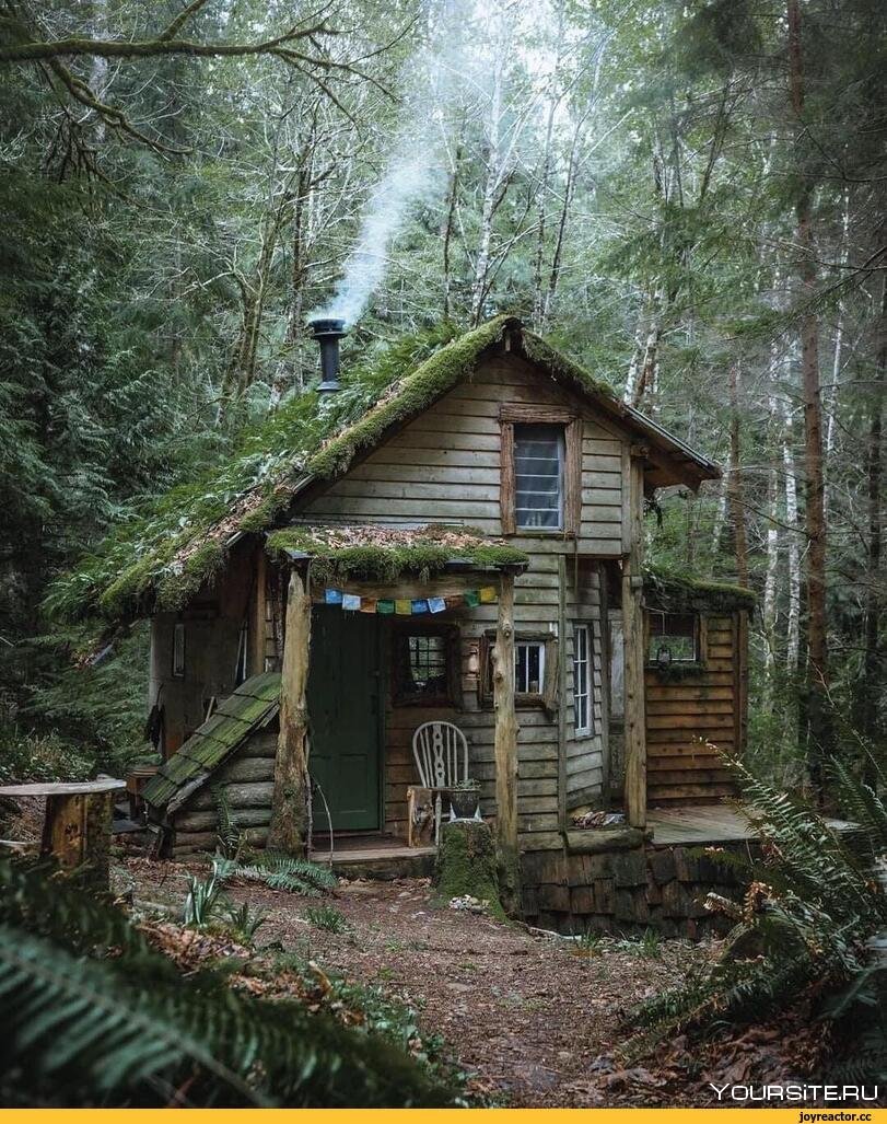 Forest House Хижина в лесу