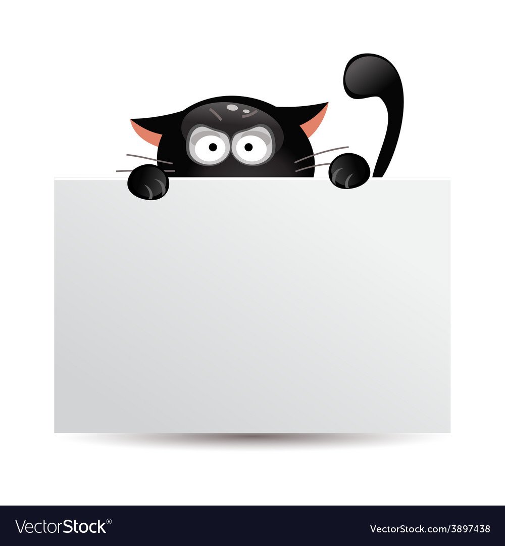 Кот выглядывает из-за угла