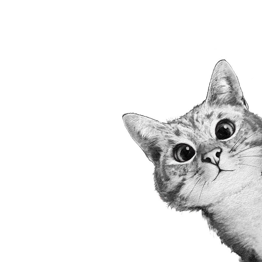 Рисунки с вылезающими котами из угла