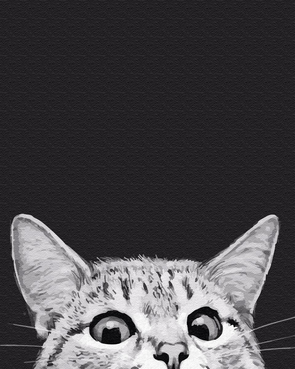 Кот выглядывает