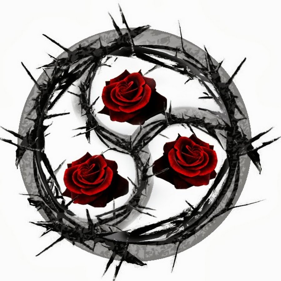 Роза с шипами картинка