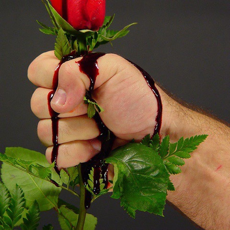 Дарк Роуз Эстетика