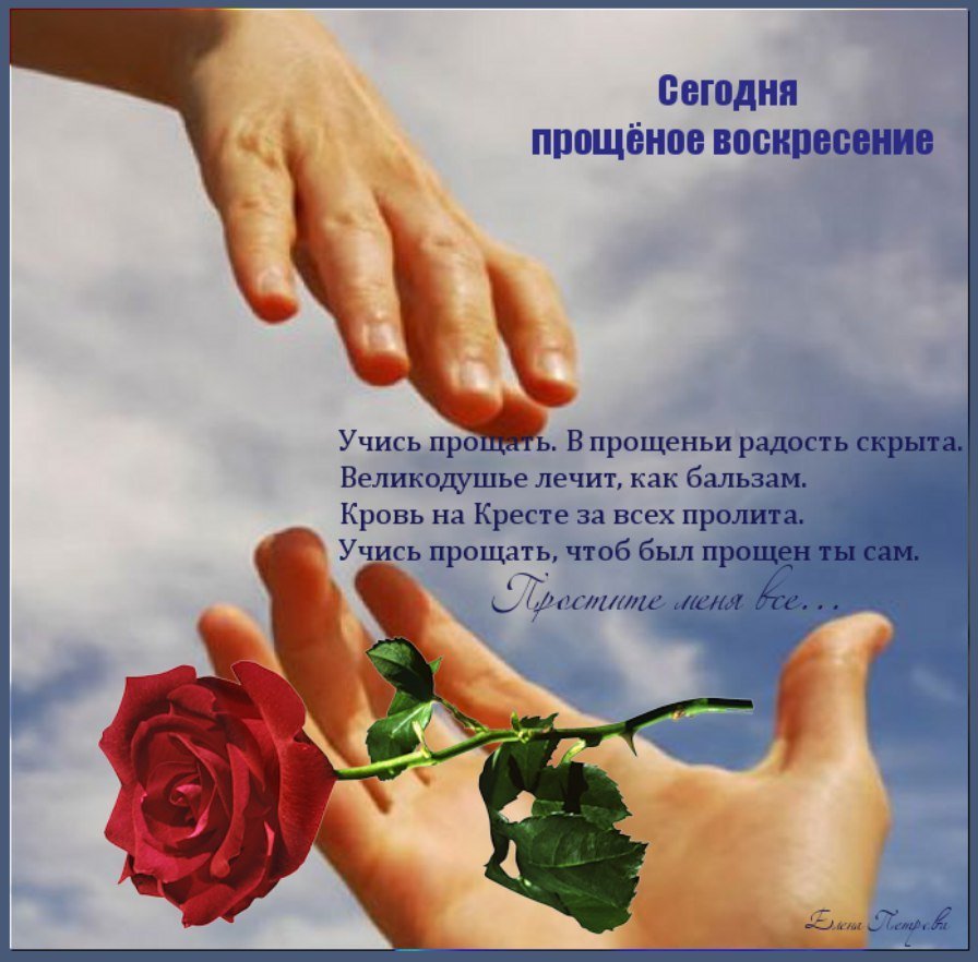 Грустный кот