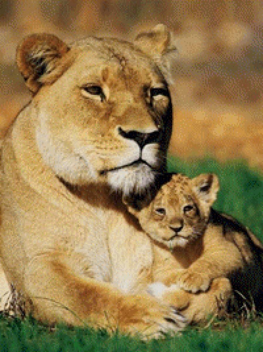 Львица с детенышем