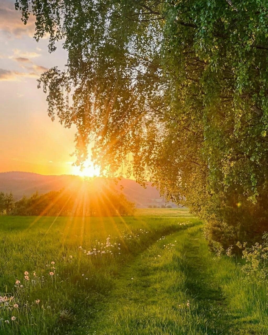 Утренний рассвет