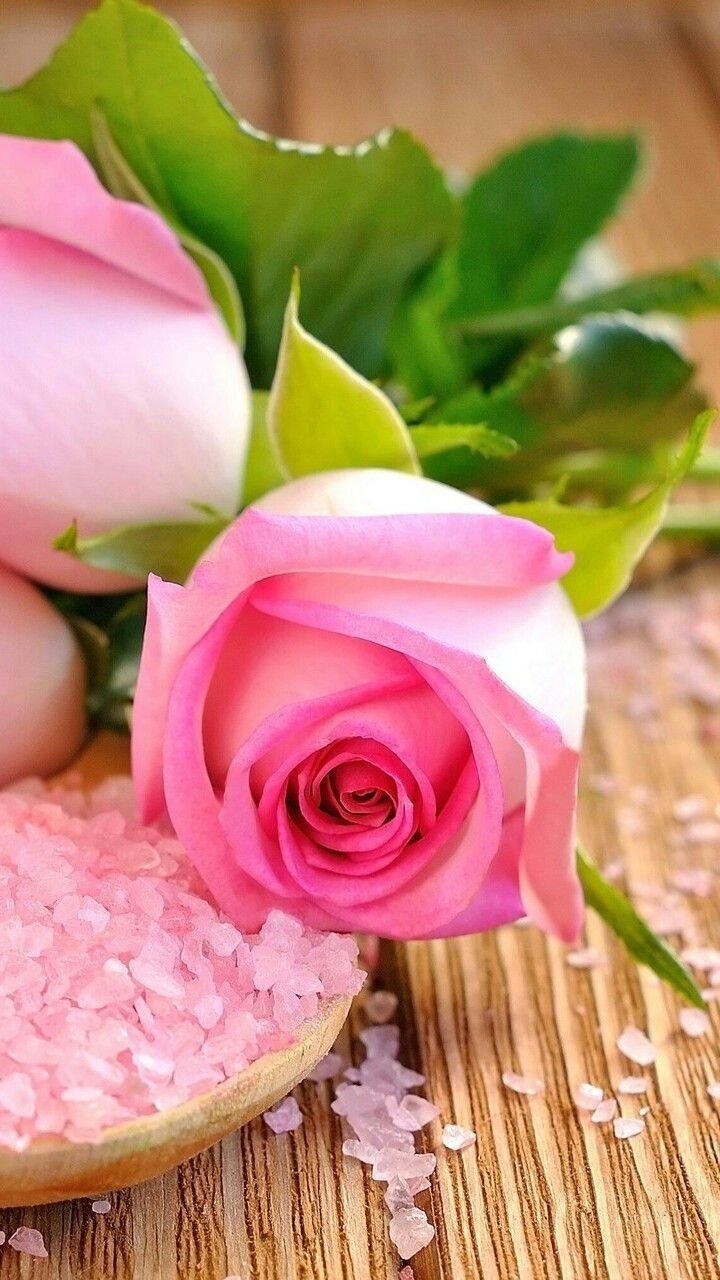 Нежные романтичные цветы