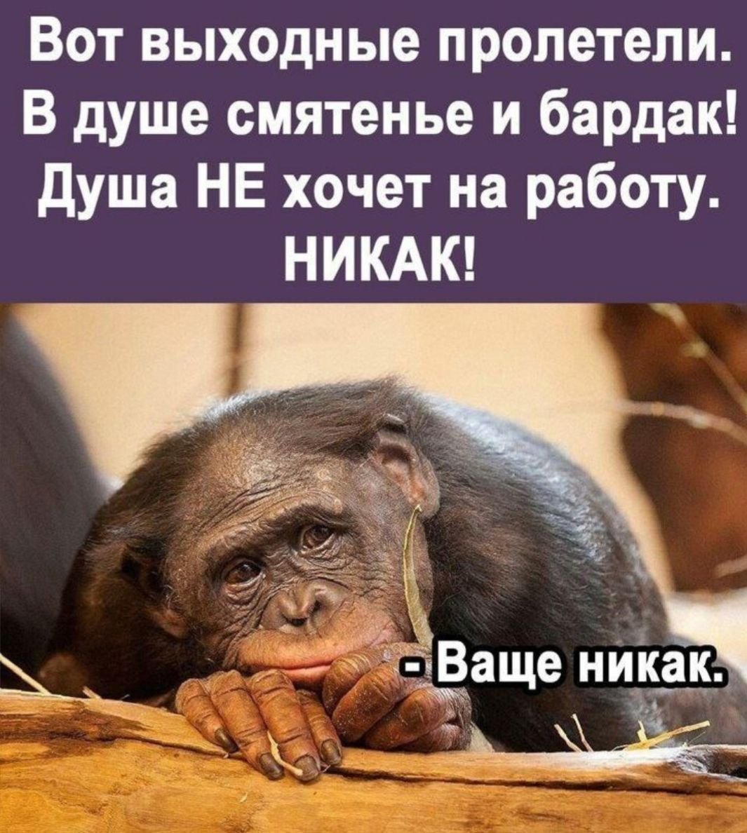 Вот и выходные пролетели