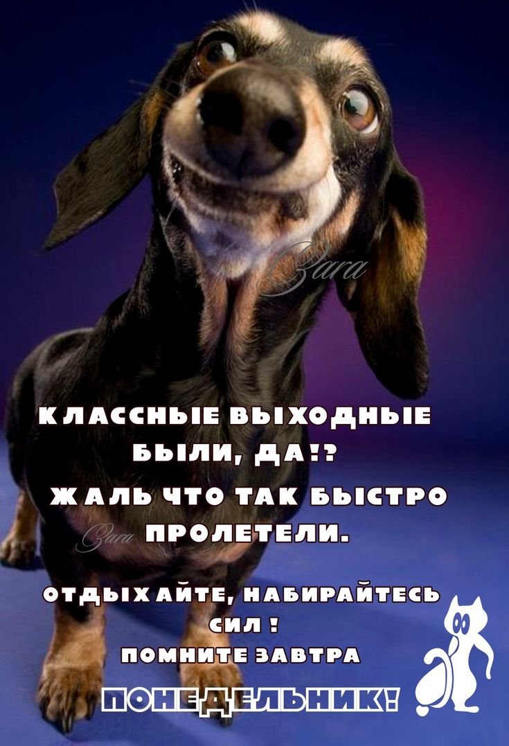 Выходные пролетели