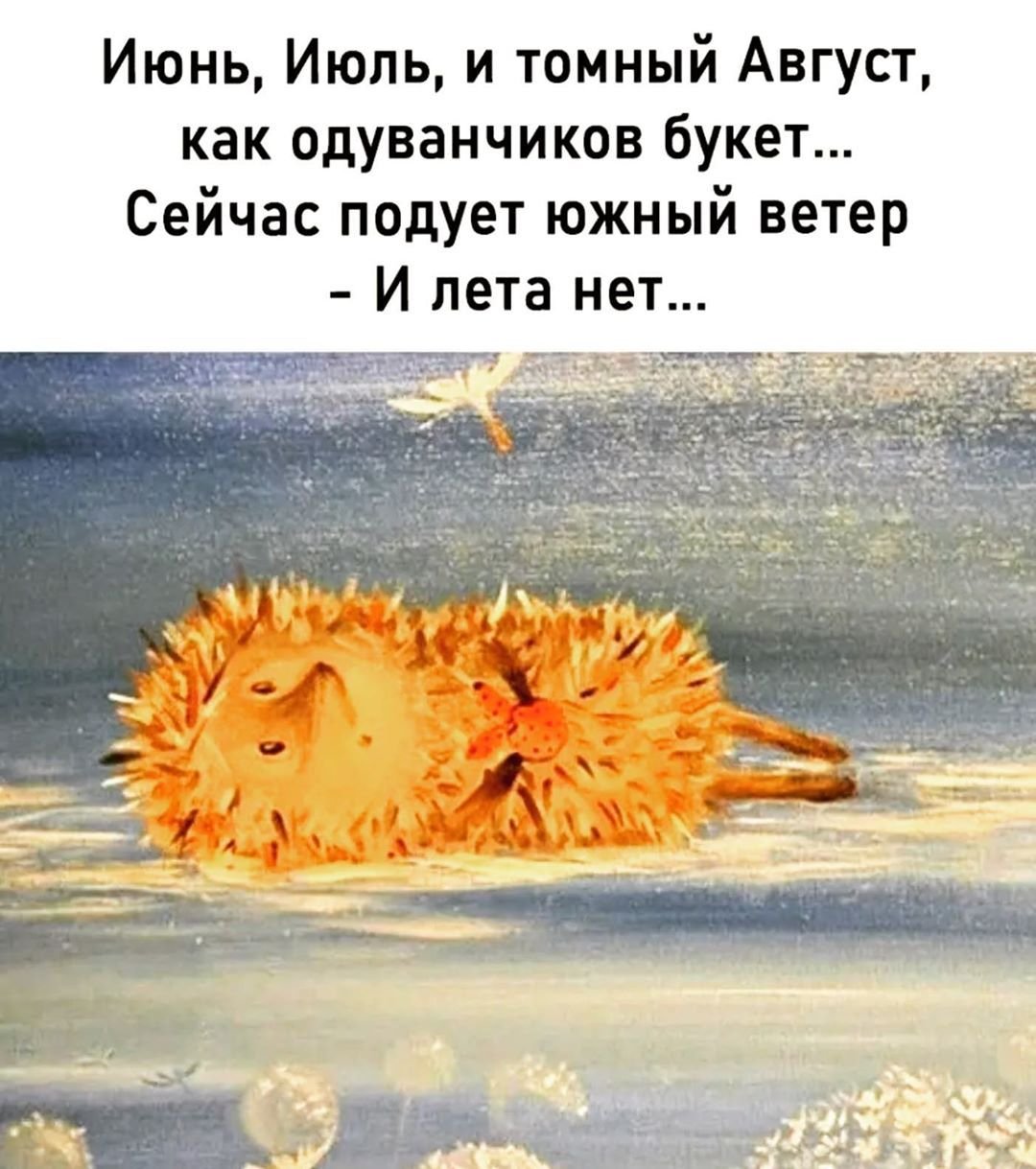 Цитаты про август смешные