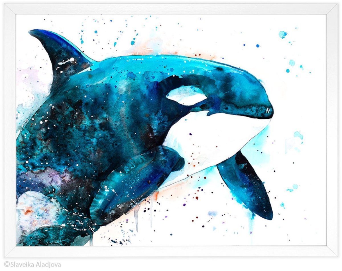 Кит Касатка акварелью