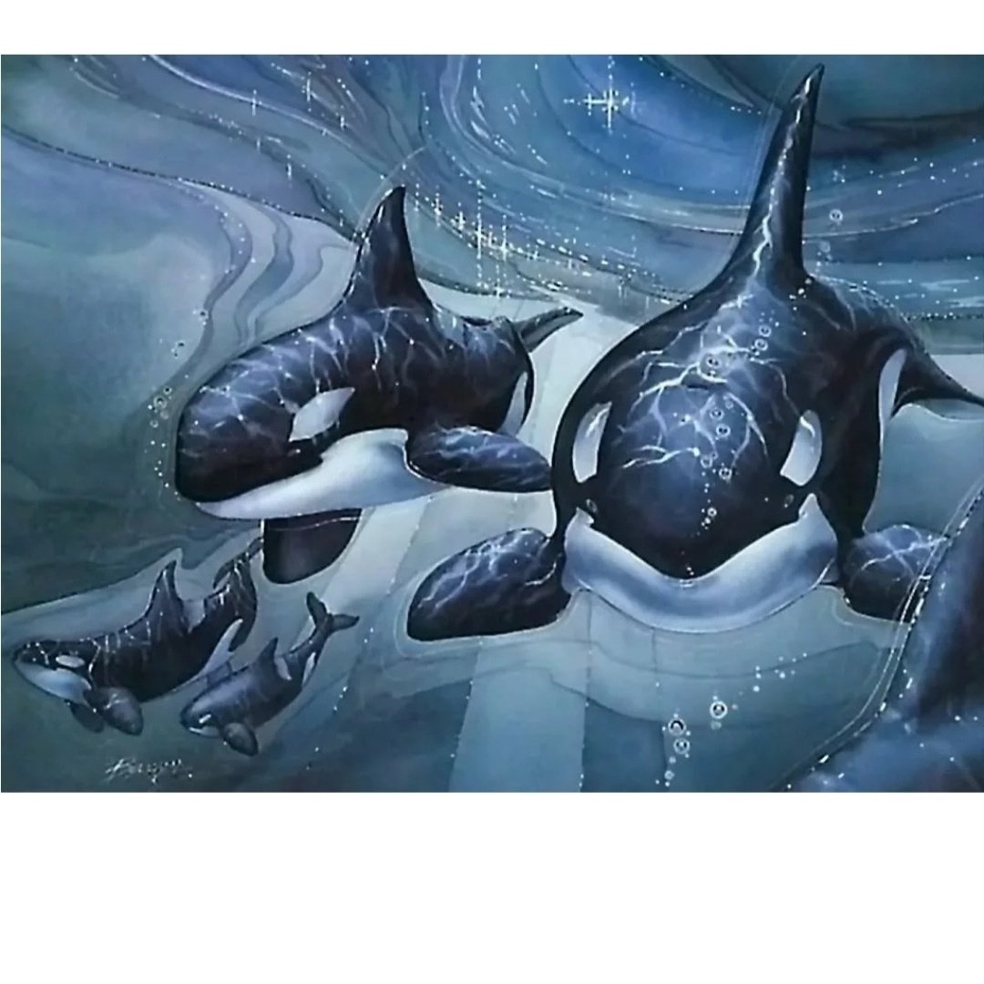 Джоди Бергсма картины косатки