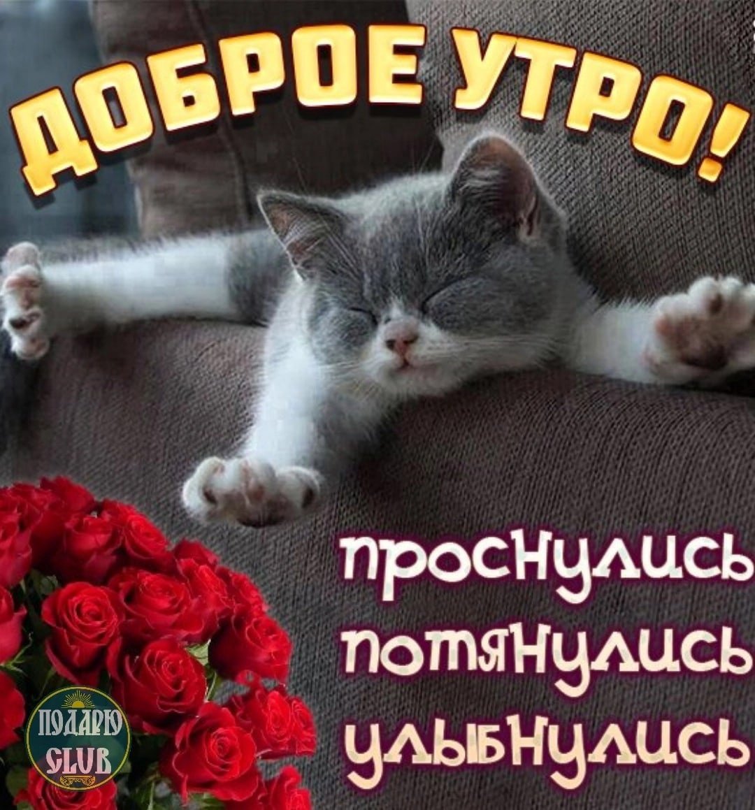 Проснулись доброе утро