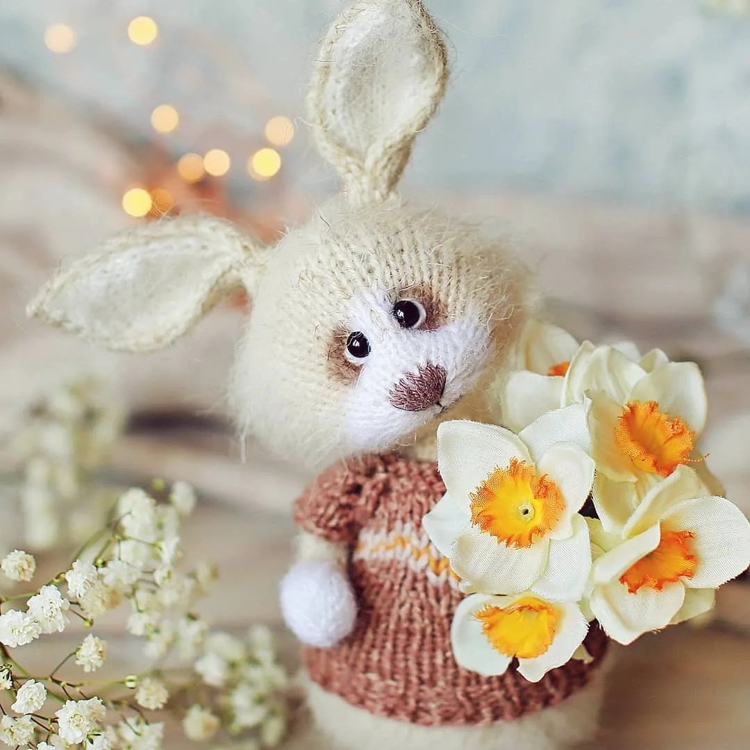 С добрым утром заяц