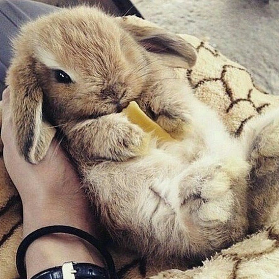 Доброго понедельника