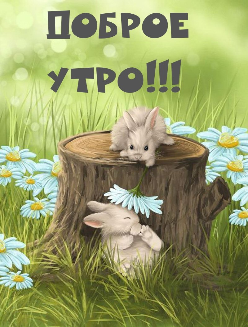 Пожелание улыбок и хорошего настроения