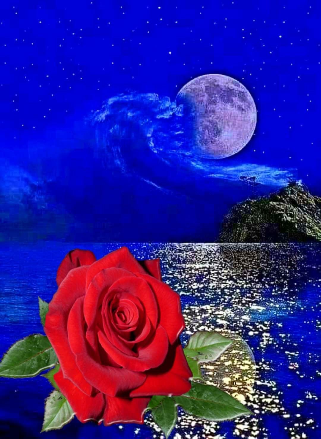 Спокойной ночи сладких снов