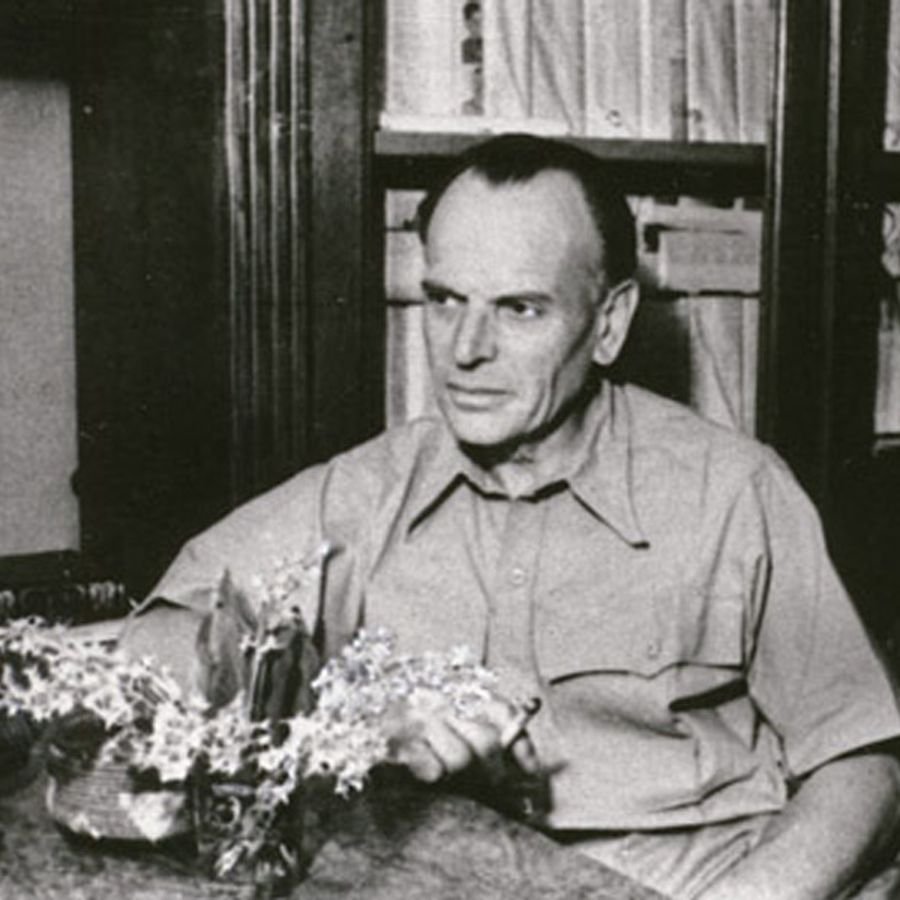 Паустовский встречные корабли книга