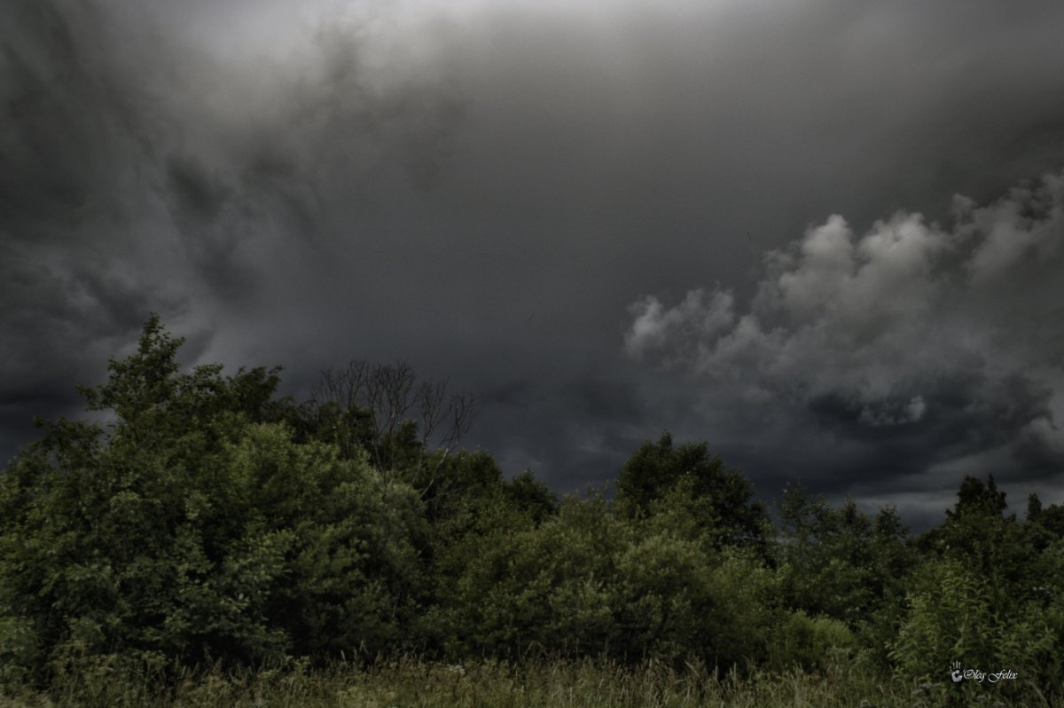 Небо перед дождем