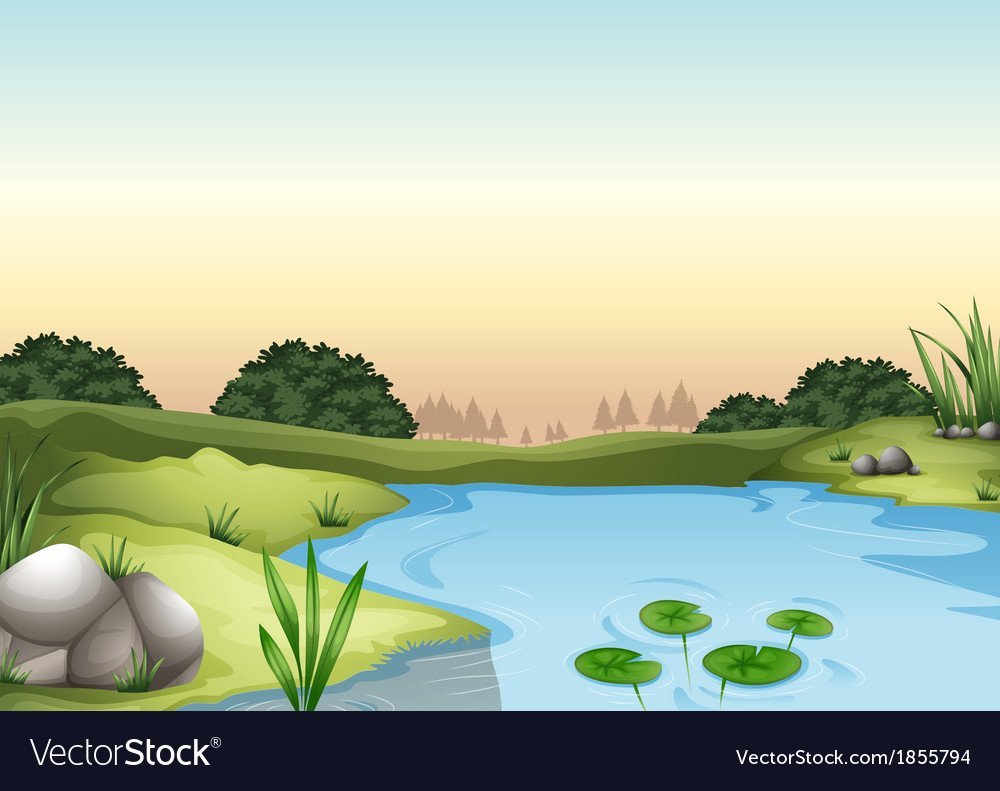 Берег пруда рисунок