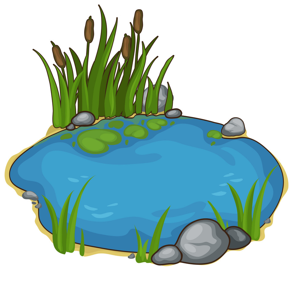 Пруд мультяшный