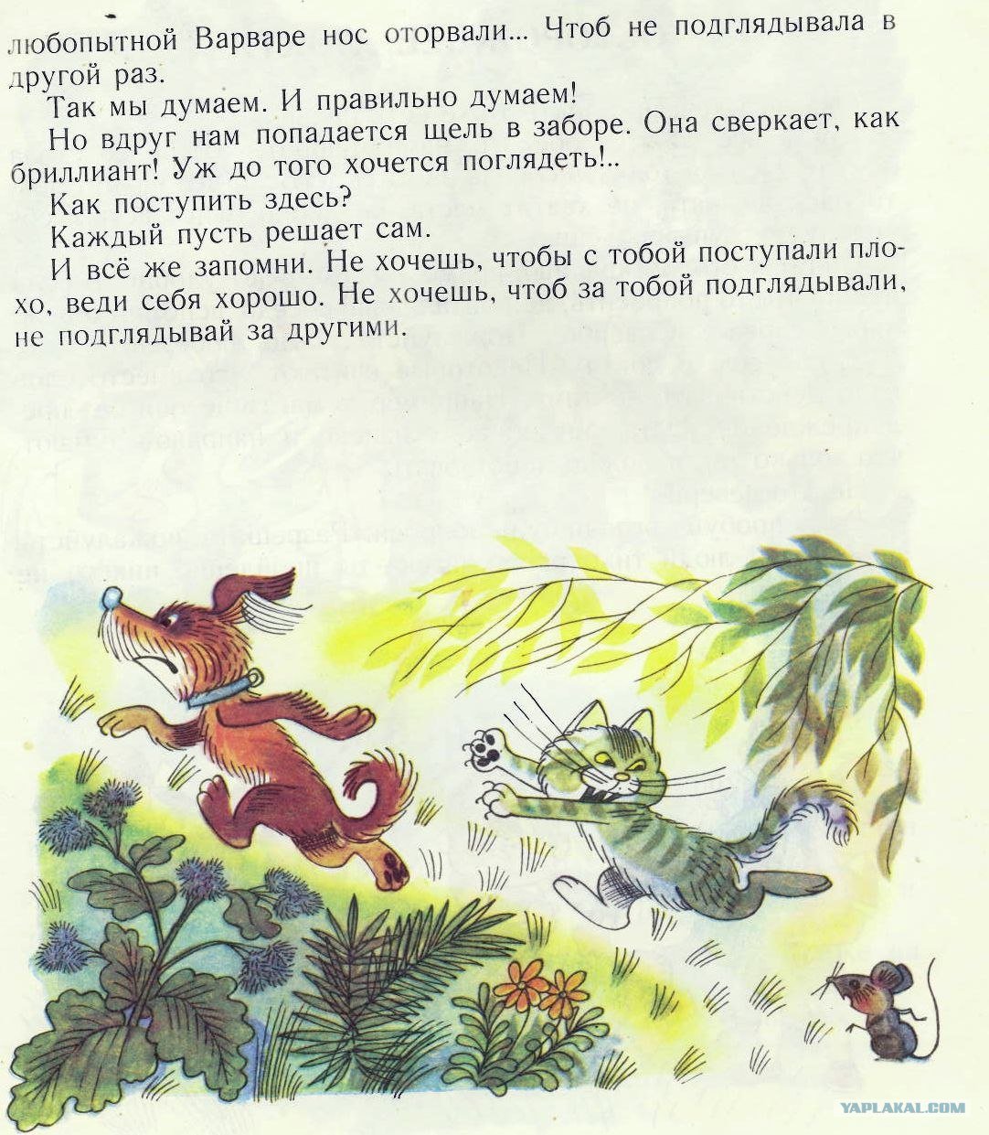 Любопытной Варваре нос оторвали