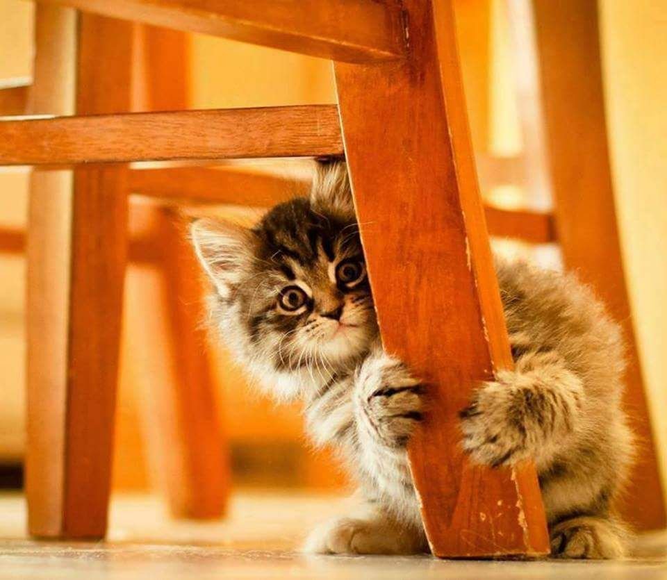 Белоснежка фильм 1997