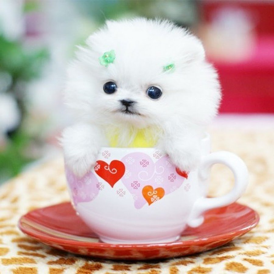 Стильные пожелания с добрым утром