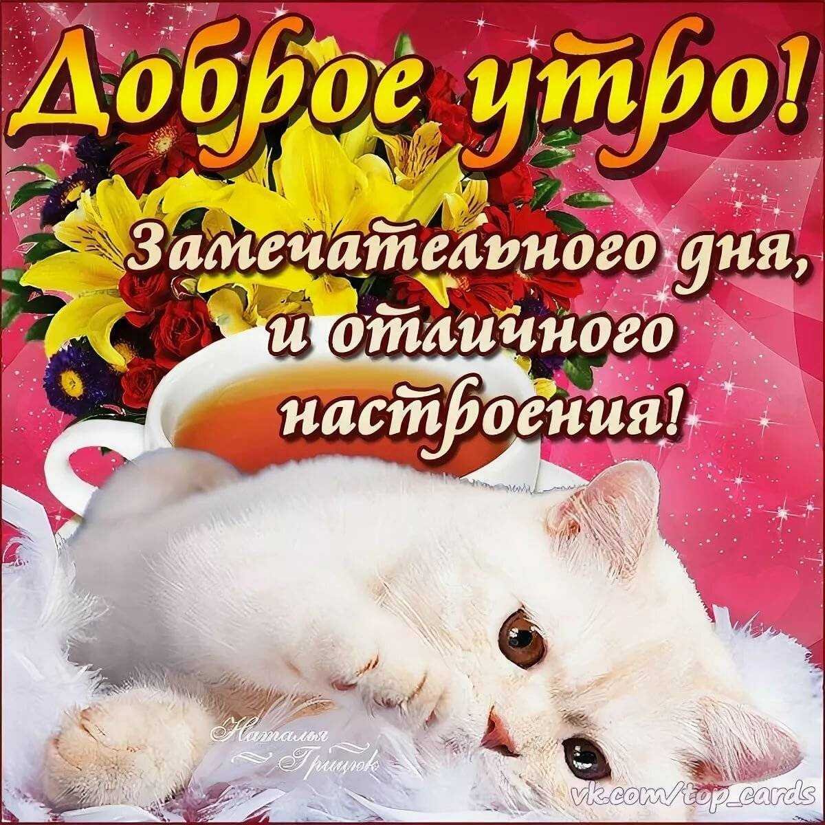 Открытки привет