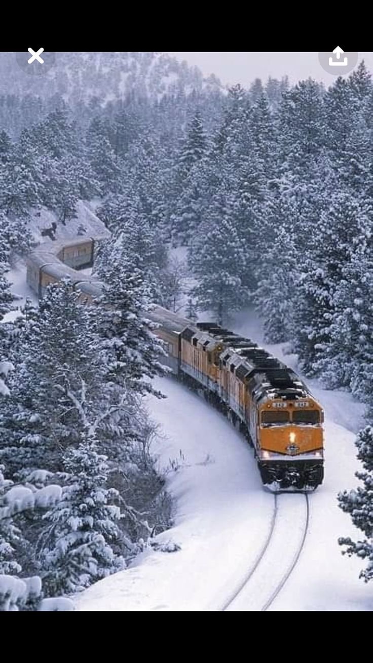 Снежный поезд