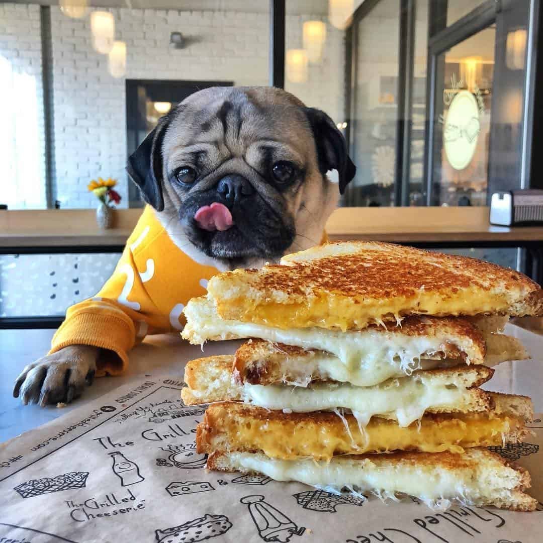 Аниме бургер