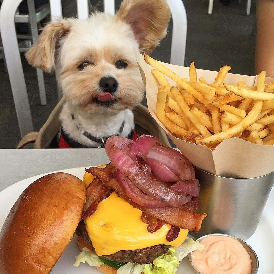 Еда из аниме Хаяо Миядзаки Унесенные призраками