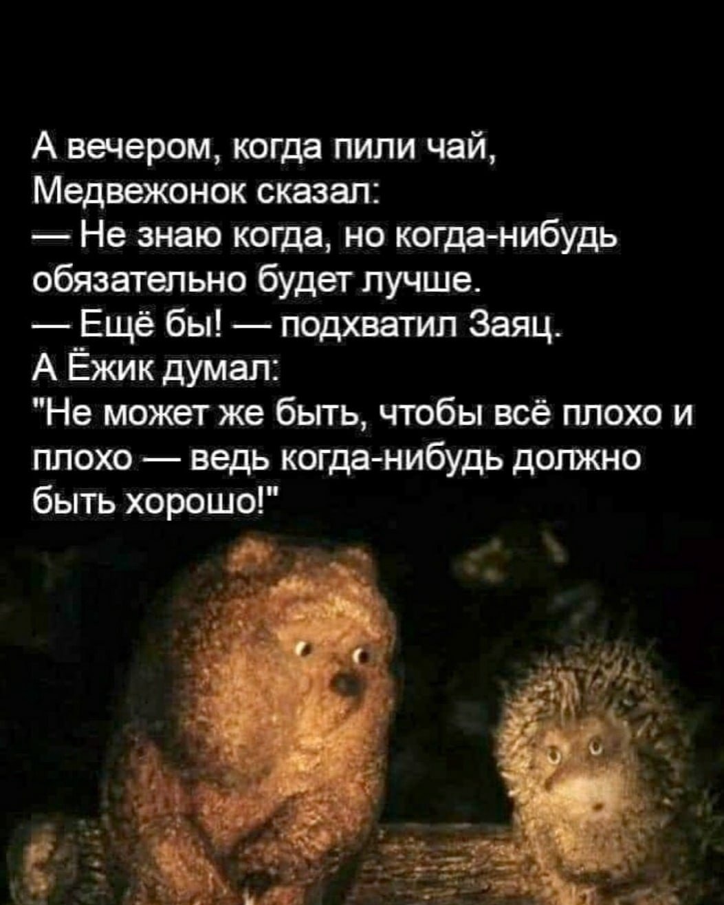 Ежик в тумане