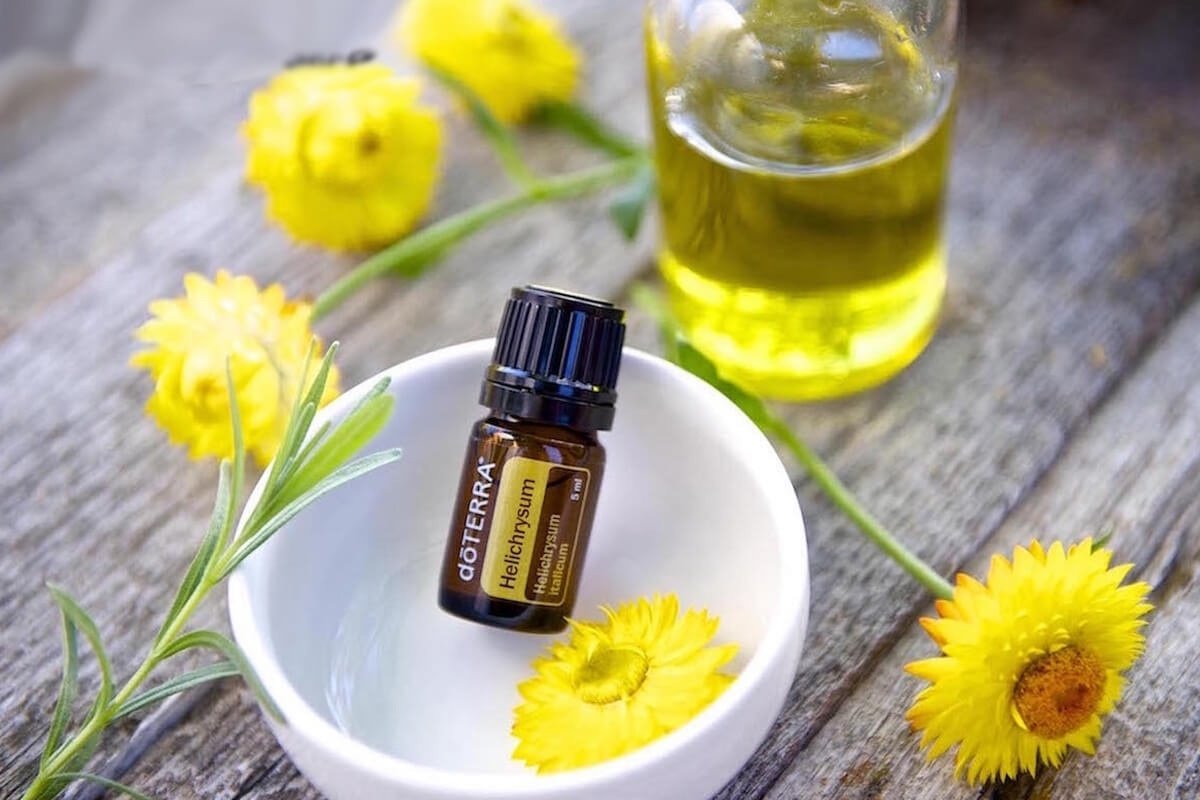 Памир бессмертник