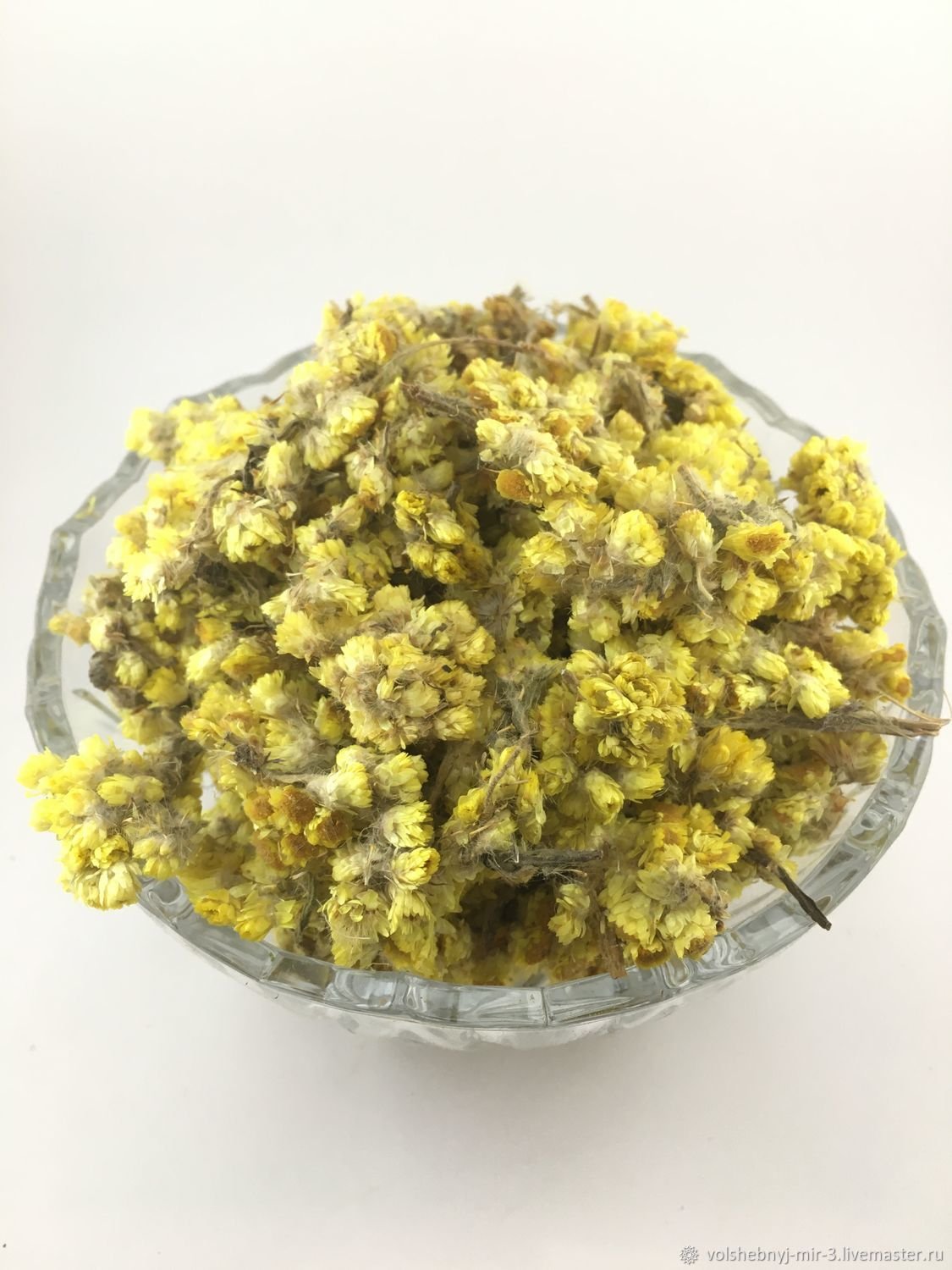 Гелихризум бессмертник