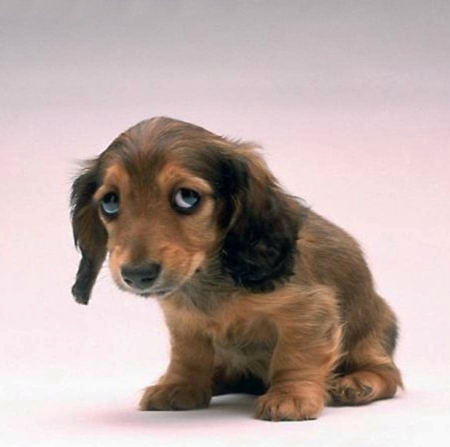 Открытки с извинениями