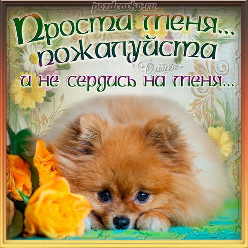 Алмазная мозаика шпиц