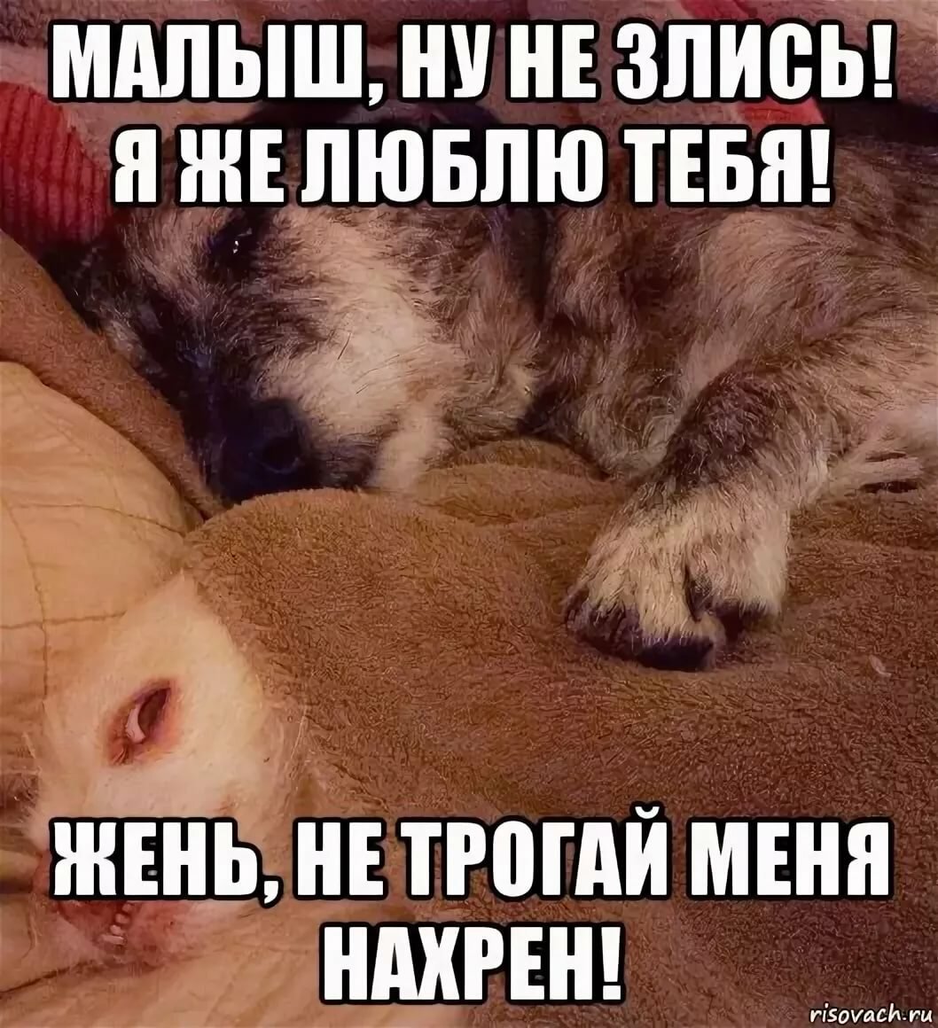 Ты на меня не злись ты