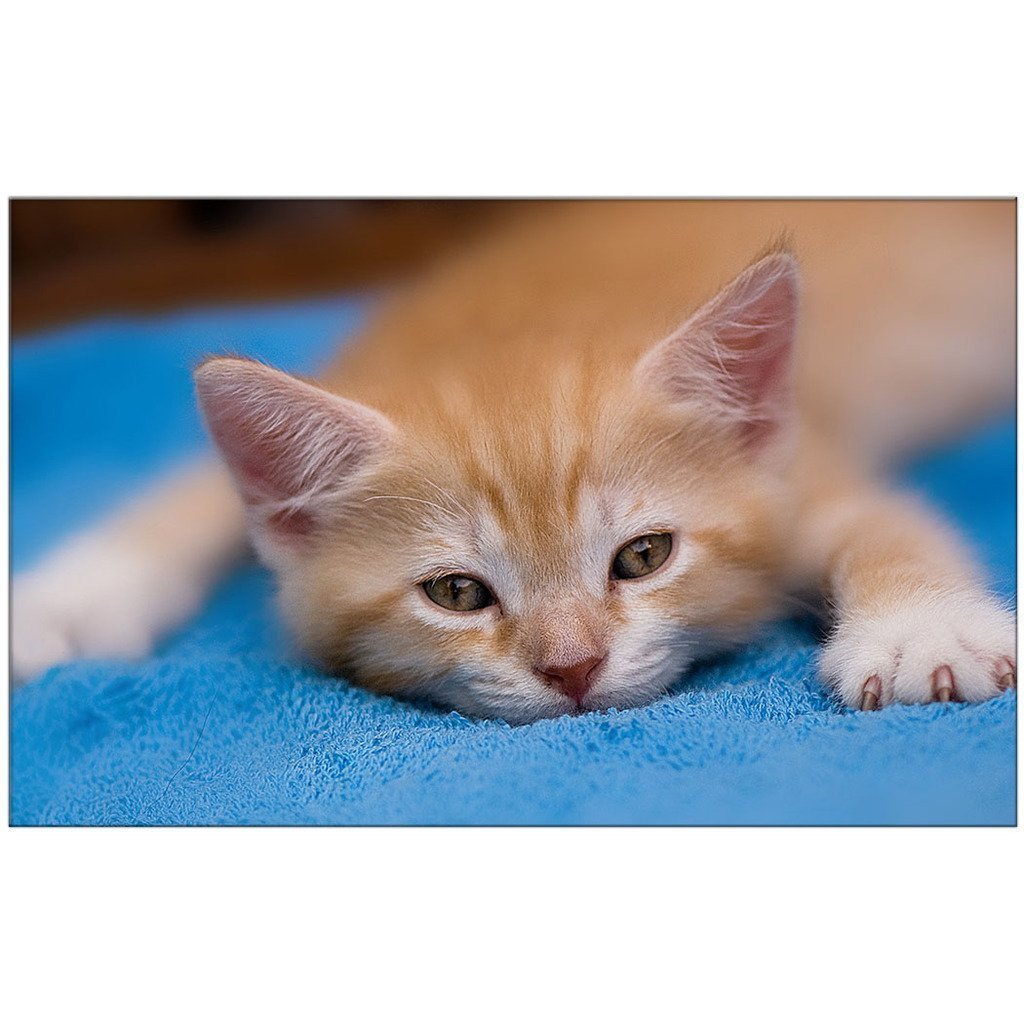 Прости если обидела тебя