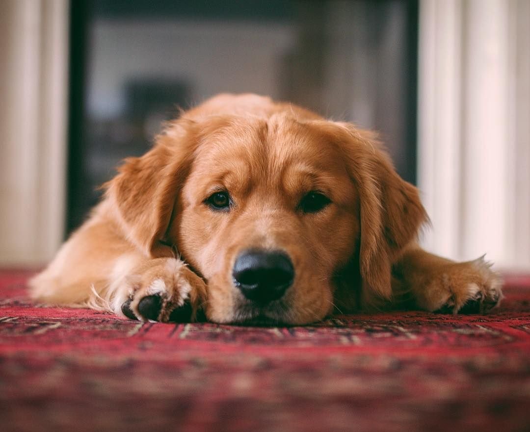 Прости меня картинки