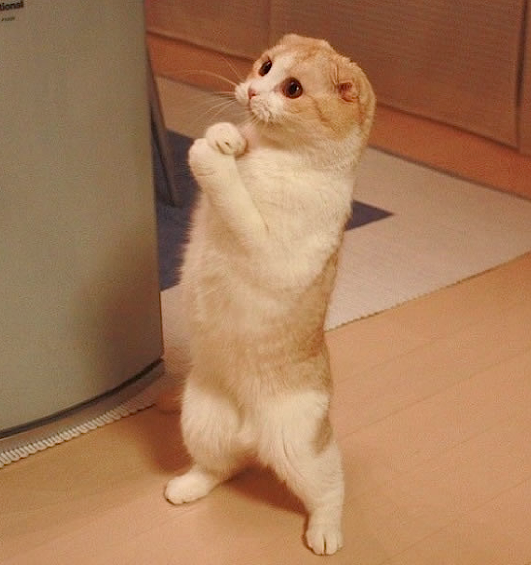 Выздоравливайте скорее