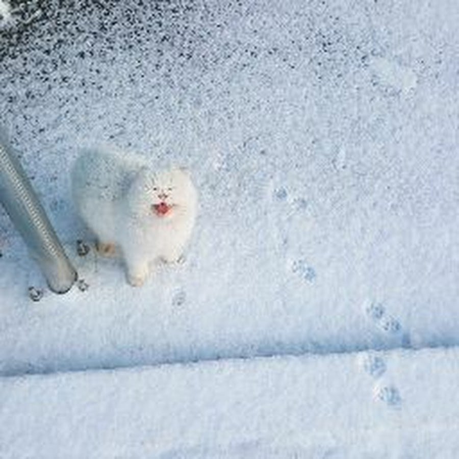 ЭМОДЖИ Снеговик