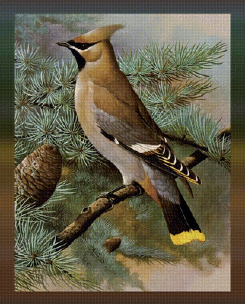 Английский художник Базиль Эде